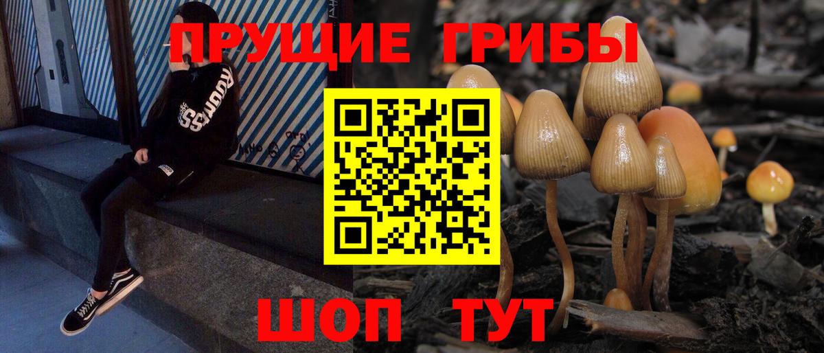 Галлюциногенные грибы прущие грибы  Псилоцибиновые грибы MAGIC MUSHROOMS  продажа наркотиков  Гудермес  Вход с VPN 