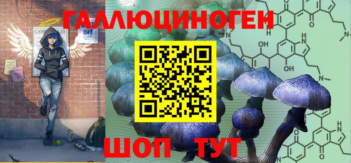 Псилоцибиновые грибы прущие грибы Гудермес